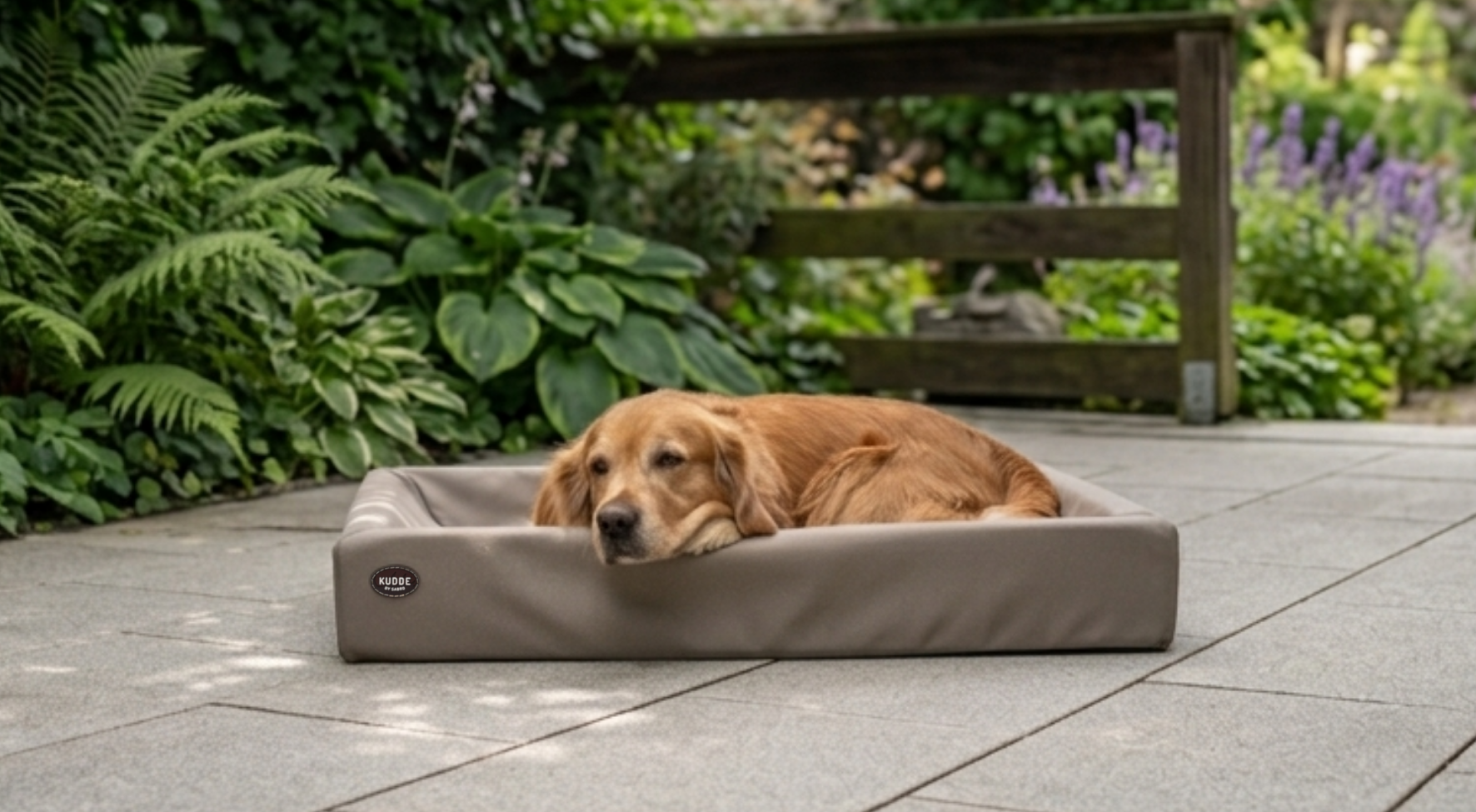 Warum dein Hund im Sommer schlechter schläft & was ihm hilft