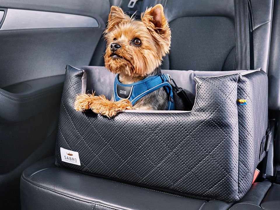 Autositz für Hunde RIDA