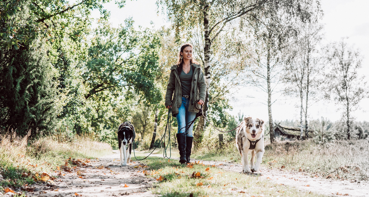 Dein Hund zieht an der Leine? Tipps & Tricks zur Leinenführigkeit