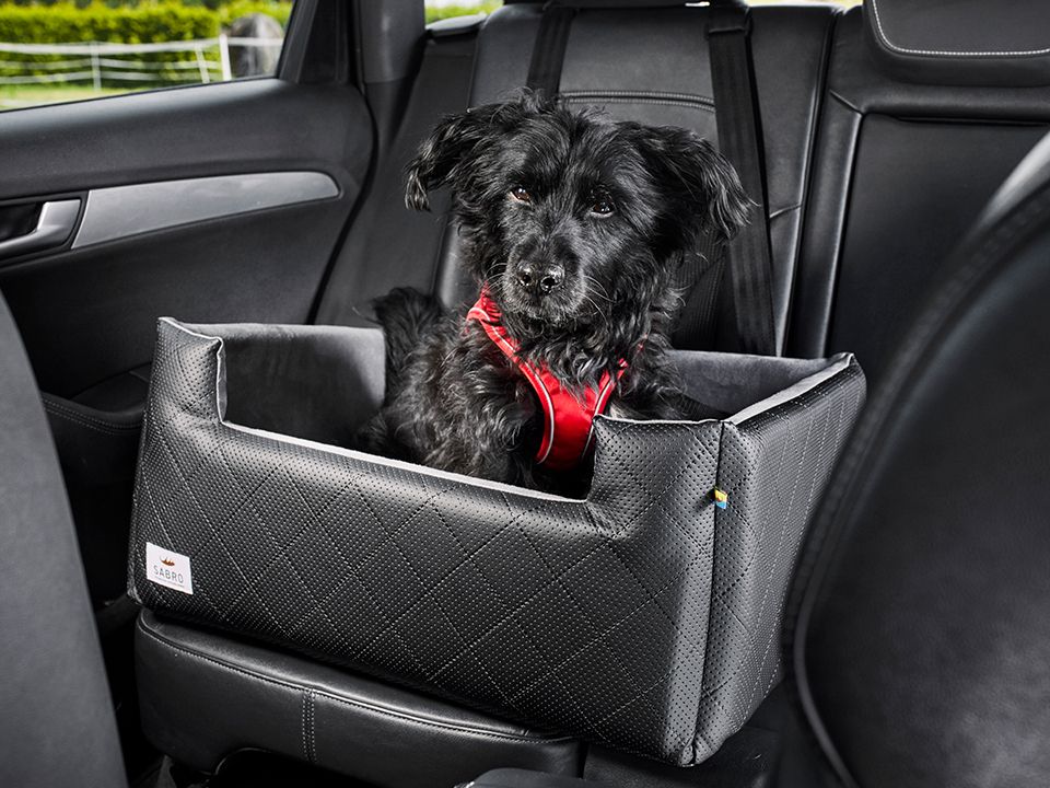 Autostoel voor honden RIDA