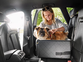 Autostoel voor honden RIDA