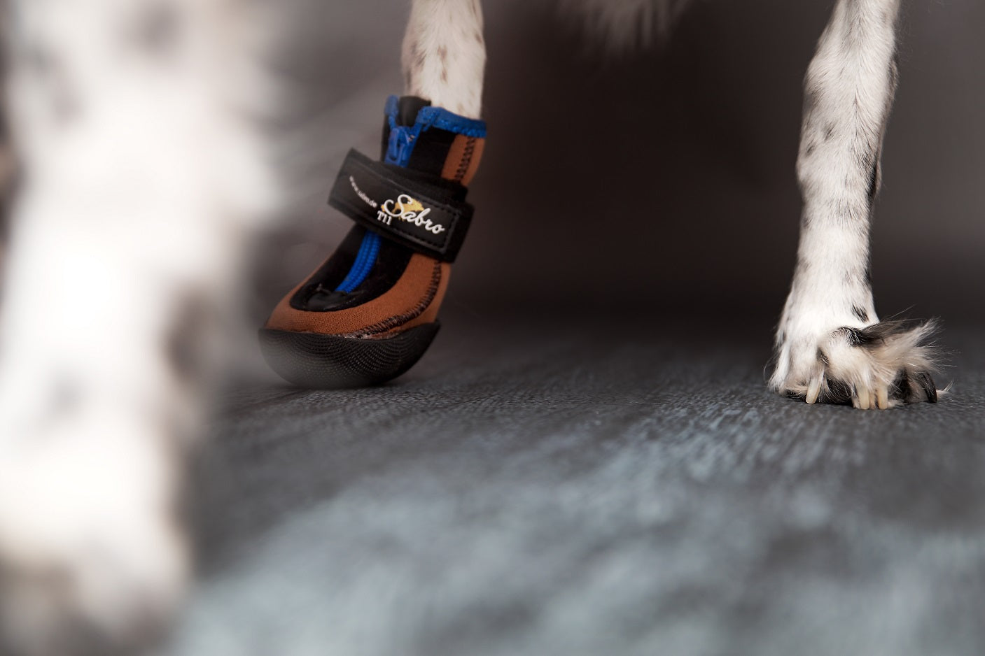 Dog Boots TOFFLER Paw Protection