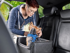 Autostoel voor honden RIDA