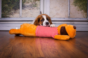 Cuddle dog TOMTE