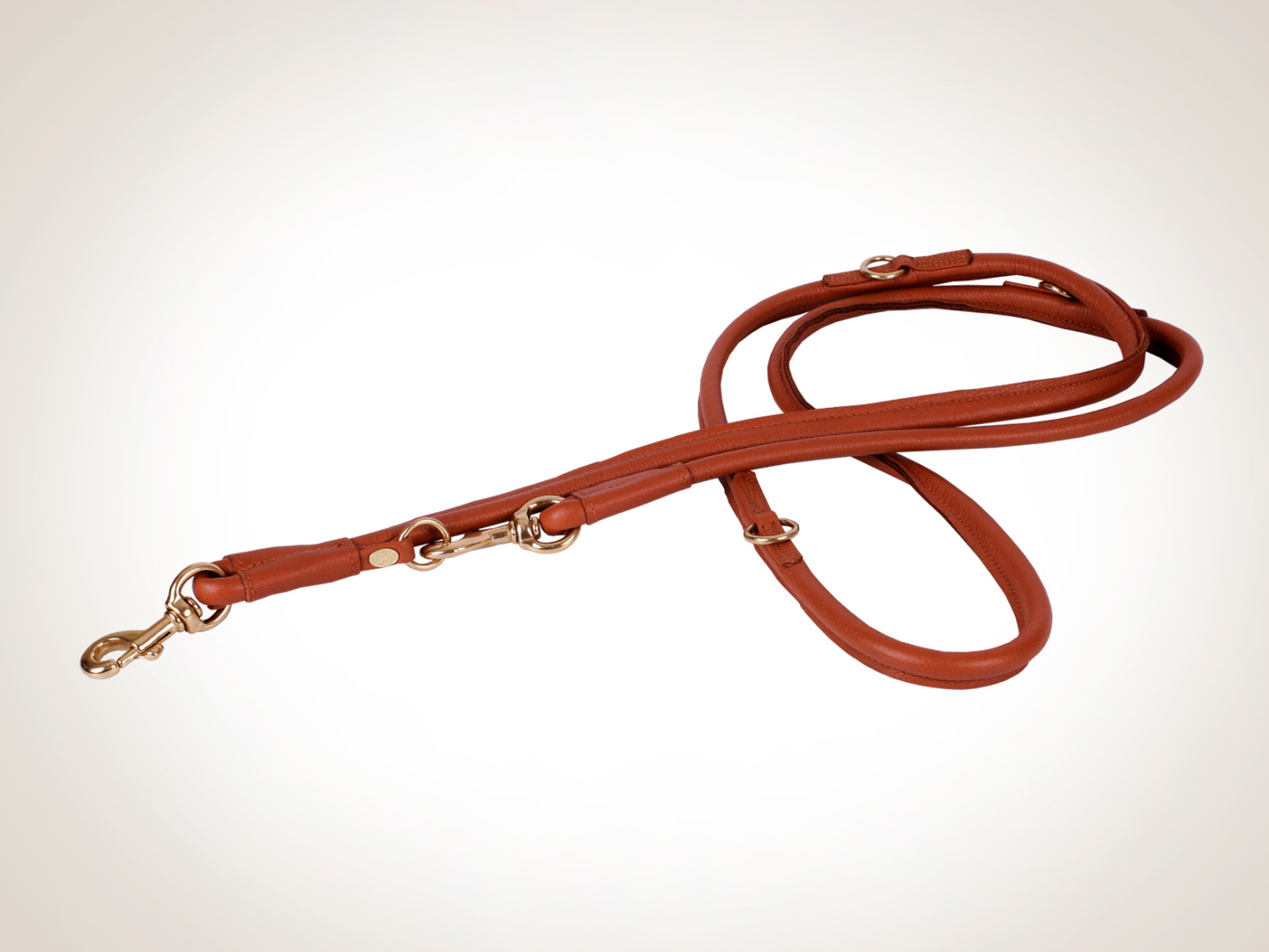 CLASSIC Adjustable Dog Leash