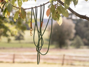 Drag Leash OUTDOOR 5m