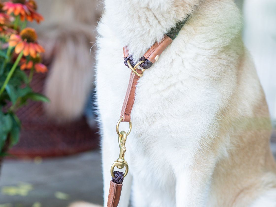 Collare per cani OUTDOOR a strozzo tondo