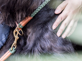 Collare per cani OUTDOOR a strozzo tondo
