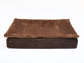 cacao