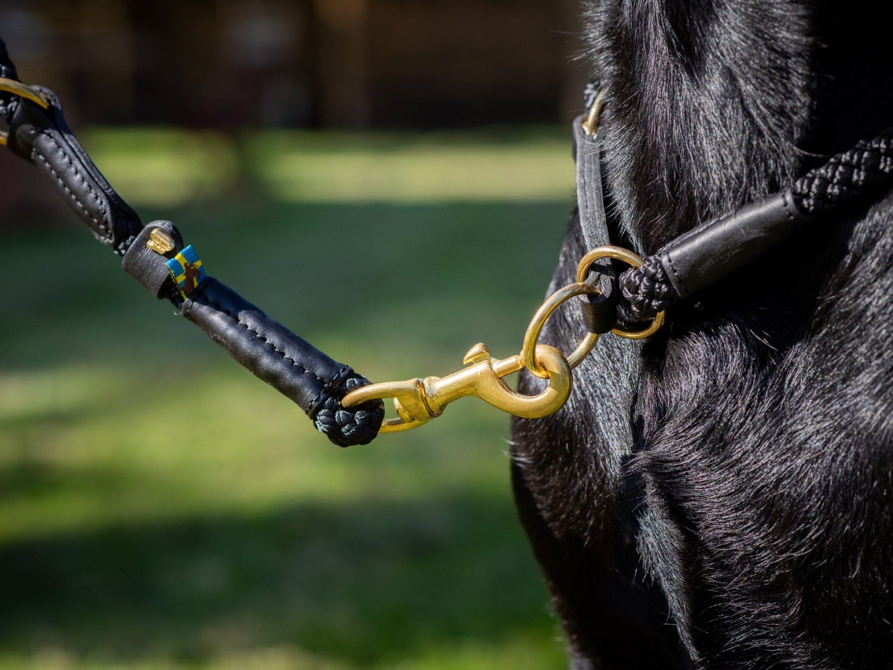 Collare per cani OUTDOOR a strozzo tondo