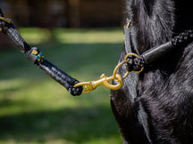 Collare per cani OUTDOOR a strozzo tondo