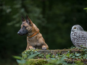 natur