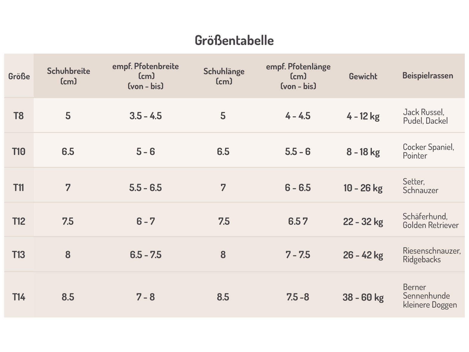 Größentabelle Toffler