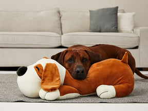 Compagnon câlin TOMMI