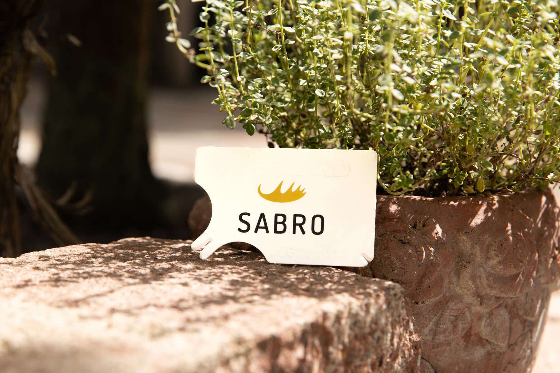 SABRO Zeckenkarte