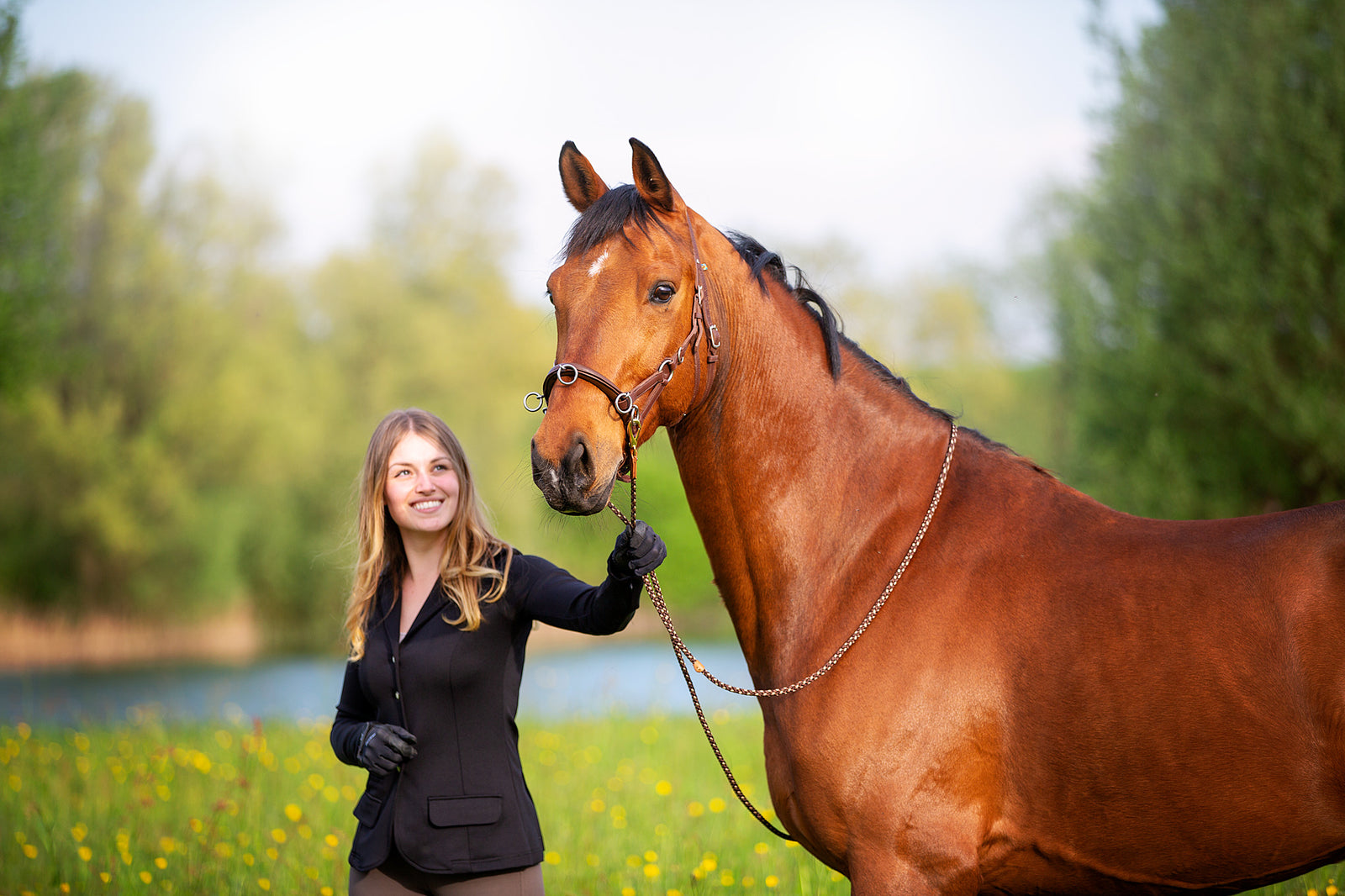 Pferd mit Sabro Cavecon