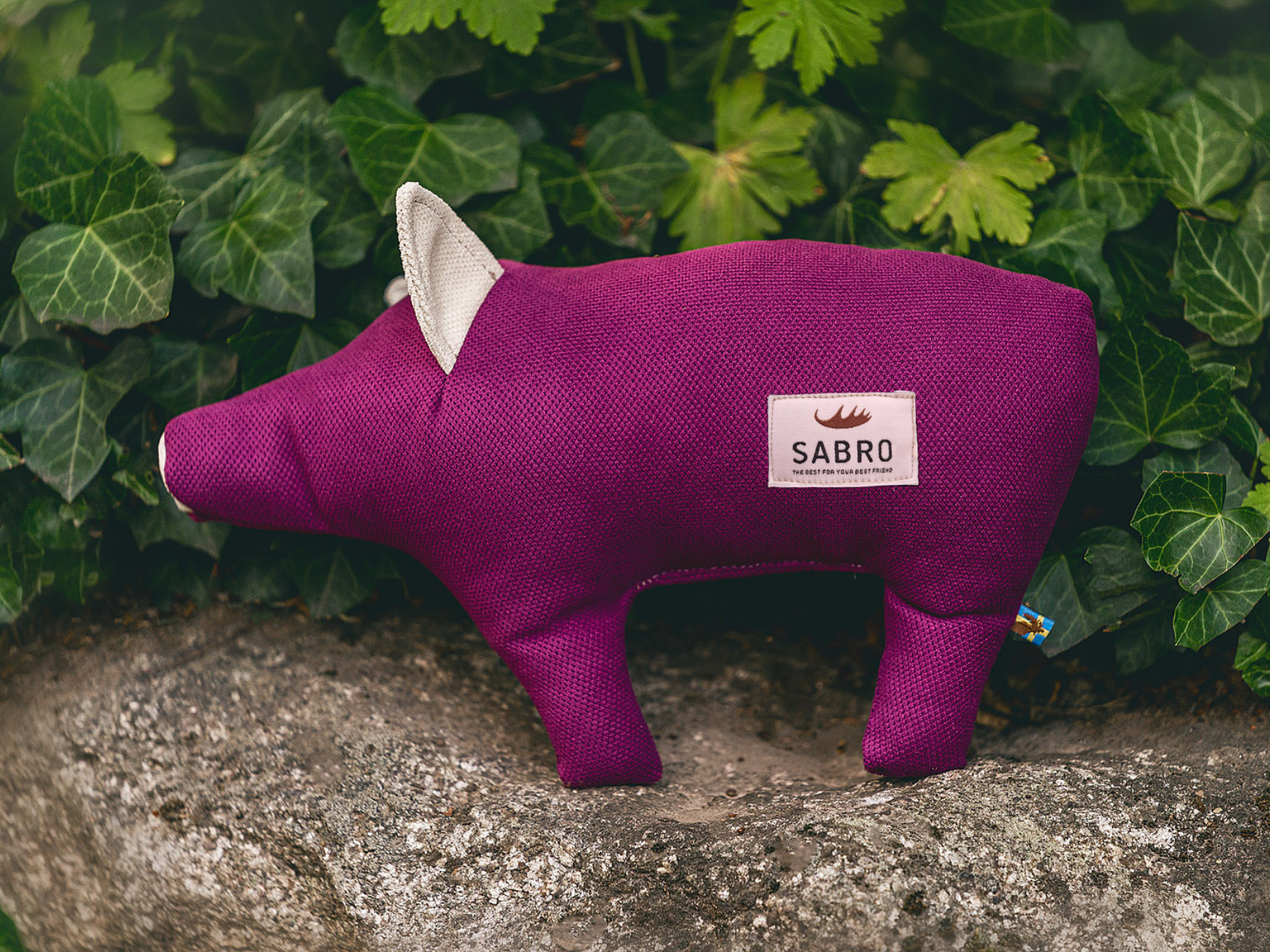 Cochon DÖRTE