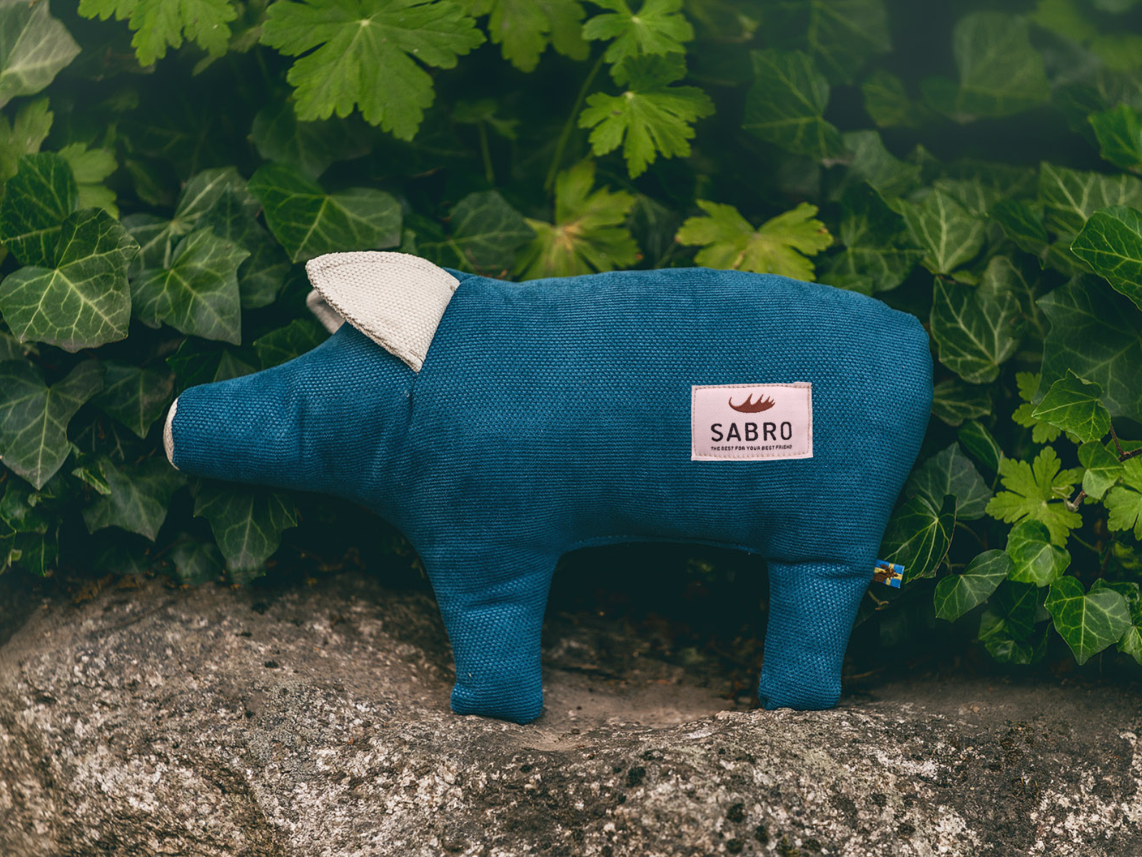 Cochon DÖRTE